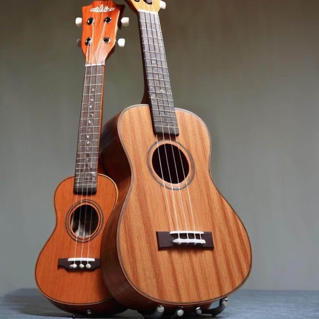 Wytrzymałe ukulele dla osób zaczynających